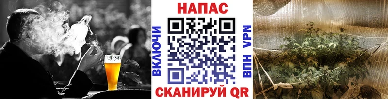 Шишки марихуана сатива  Купить закладки  Партизанск 